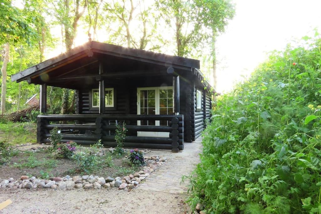 Knusse En Gezellige Blokhut De Bijenstal Villa Dedemsvaart Exterior photo